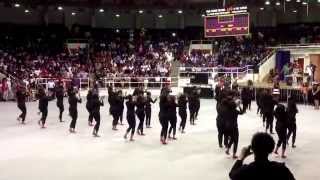 2014 Pv Probate Delta Sigma Theta [upl. by Marget973]