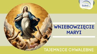 Różaniec Czwarta tajemnica chwalebna  WNIEBOWZIĘCIE MARYI [upl. by Marina118]