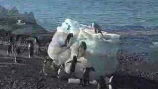 Antarctica in 5 minutes [upl. by Pauly]