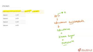 How many ATP are formed from NADPH to NAD [upl. by Nyltiak]