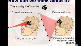 Concentration and focus in Sport and Performance Psychology [upl. by Frederick716]