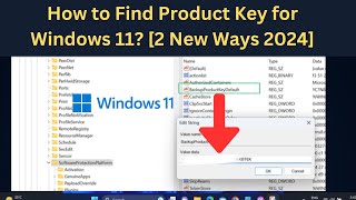 How to Find Product Key for Windows 11 2 New Ways 2024 [upl. by Racklin]