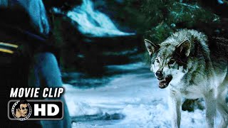 FROZEN  Attacked By Wolves 2010 Movie CLIP HD [upl. by Immas]