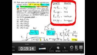 Penyimpangan Mendel amp Atavisme [upl. by Adriane]