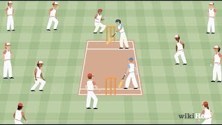 How to Play Cricket [upl. by Dragoon]