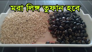 Alkushi and masakalai pulses  কত সময় ধরে সময় দিচ্ছেন নিজেই ভুলে যাবেন অবশেষে বউ ক্ষমা চাইবে [upl. by Ottillia299]