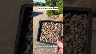 Maintenance Free reels shorts albuquerque placitas santafe drivewaysealing [upl. by Schnabel]