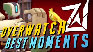 ZERO  Overwatch Best Moments  Skill Overload [upl. by Fortin]