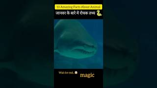 Amazing facts  facts about animals  facts mine  random facts  facts in hindi shorts facts [upl. by Norrad]