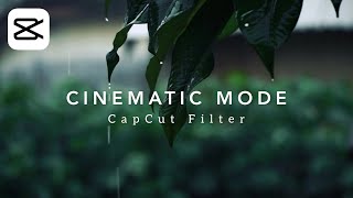 cinematic mode capcut filter tutorial  cinematic capcut filter editing [upl. by Sirad290]