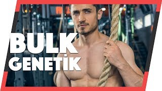 BULK amp STRONGMAN amp GENETİK TESTİ ARAŞTIRMALARI 2 hafta [upl. by Caruso]