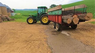 Hauling Large Oak Logs To The Sawmill [upl. by Cochrane325]