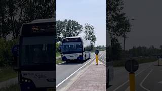 Bus met een witte kop [upl. by Enert]