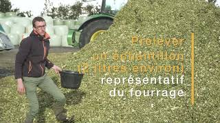 Récolte du maïs fourrage  Comment vérifier l’éclatement des grains   ARVALISinfosfr [upl. by Nedyaj]