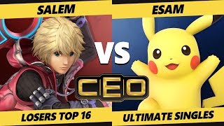 CEO 2019 SSBU  MVG  Salem Shulk Peach Vs PG  ESAM Pikachu Smash Ultimate Tournament L Top 16 [upl. by Ellocin741]