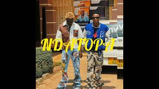 Kineo amp Aidfest Madness ft Malimba Ndatopa afro amapiano instrumental Trending 2024 [upl. by Einnod77]