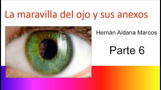 Histología del ojo Anexos oculares Parte 6 [upl. by Areip]