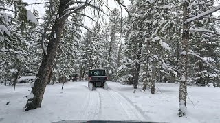 Leadville CO  UTV Tour [upl. by Akemor663]