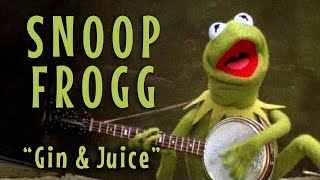 Snoop Frogg Kermit sings quotGin amp Juicequot [upl. by Burlie]