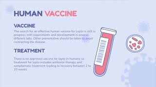 Leptospirosis Vaccine Video ACBS419 [upl. by Lind]