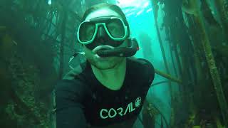 Freediving with Stunning Visibility  North Oudekraal Cape Town [upl. by Hubsher]