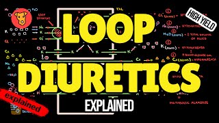 LOOP DIURETICS Mechanism of action Side effect Pharmacology USMLE [upl. by Sixela]