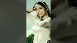 Ho jy gee Tare Bsla Bala punjabisong music song shortvideo [upl. by Harilda325]