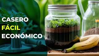 Cómo hacer fertilizante casero para plantas 🌱 Fácil y Económico [upl. by Janeva503]