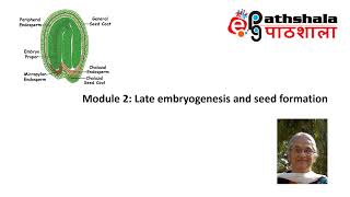 Module 2 Late Embryogenesis and Seed formation EPGPathshala [upl. by Morten711]