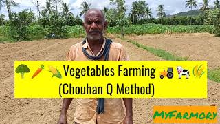 Chouhan Q Bed preparation method in Vegetable Farming [upl. by Nedloh884]