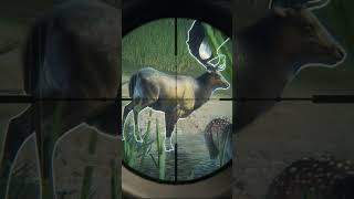 Great One Fallow Deer With The 65  Hypifed  theHunter  call of the wild [upl. by Peppie]