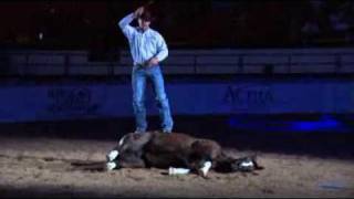 Clinton Anderson Walkabout Tour Downunder Horsemanship [upl. by Ackerley183]