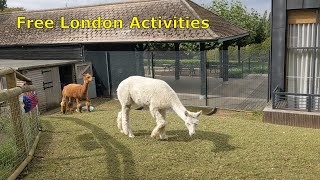 Free London Activities [upl. by Ahseral]