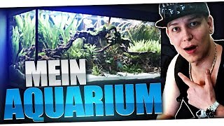 Mein 400 Liter Aquarium  MontanaBlack [upl. by Josiah653]