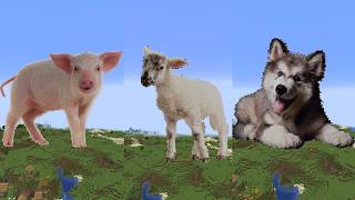 Real Life Peppa Pig Characters with sounds in Minecraft [upl. by Broek]