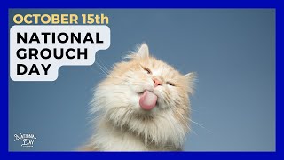 National Grouch Day  October 15 [upl. by Otsirave]