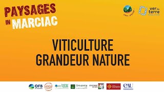 Paysages In Marciac 2021  Jour 5  Viticulture grandeur Nature [upl. by Kcirderfla790]