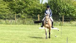 Petersfield Pony Club ODE  Dressage Dun the Business [upl. by Aidam]