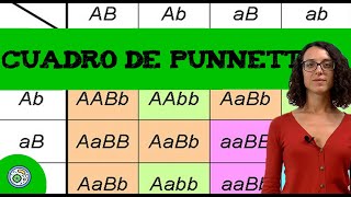 Ejercicio genética con dos genes 🧬 Codominancia I [upl. by Burkitt]