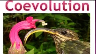 Coevolution quot BIOLOGY CONCEPTS quot where biology meets technology [upl. by Libenson]