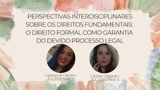 Direitos fundamentais o direito formal como garantia do devido processo legal [upl. by Annaiuq]