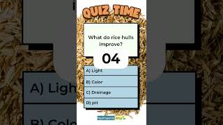 What Do Rice Hulls Improve hydroponicway hydroponics shorts quiz quiztime ricehulls perlite [upl. by Refotsirc]