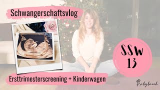 SSW 13  Ersttrimesterscreening  welches Geschlecht hat unser Baby  Schwangerschaftsvlog [upl. by Ap]