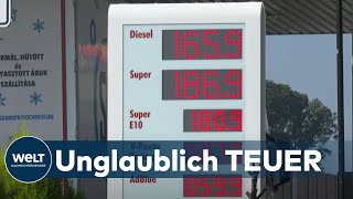 AUTOFAHRER GENERVT Benzinpreise im August auf Höchststand [upl. by Jesher]