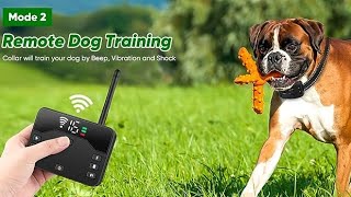 Wireless Dog Fence2023 Wireless Boundary Containment System2in1 Electric Dog Fence amp Remote [upl. by Dex]