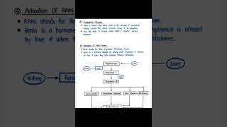 Pathogenesis of Hypertension pathophysiology b pharm second semester [upl. by Eisteb753]