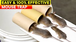 Best and Easy Mouse Trap Bucket  Rat Trap Homemade  DIY Mouse Trap [upl. by Marpet]