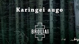 Aistė Smilgevičiūtė ir grupė SKYLĖ  Karingei augo [upl. by Iamhaj]