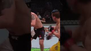 Darren Elkins vs Mirsad Bektic ufc shorts mma youtubeshorts [upl. by Ahders]