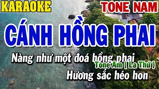 Karaoke Cánh Hồng Phai Tone Nam  Karaoke Beat  84 [upl. by Asor]